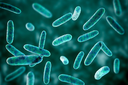 microbiology