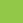Green for YPN Branch