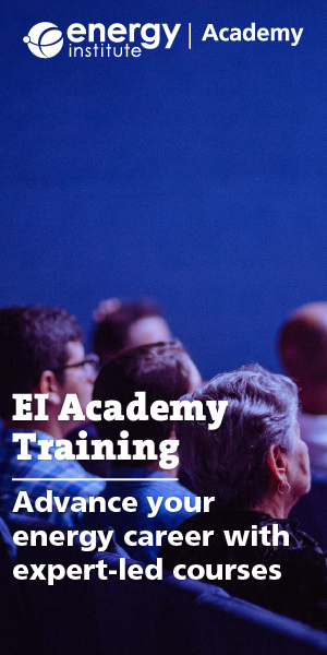 EI Academy logo