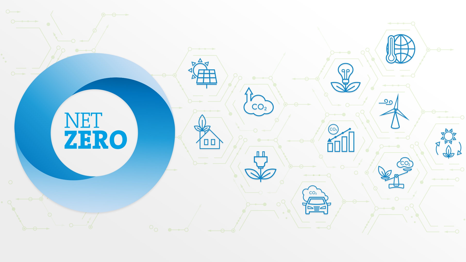 Net Zero Training image